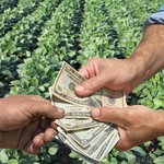 Banking and Farming