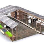 Cow Shed