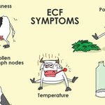 ECF symptoms