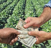 Banking and Farming