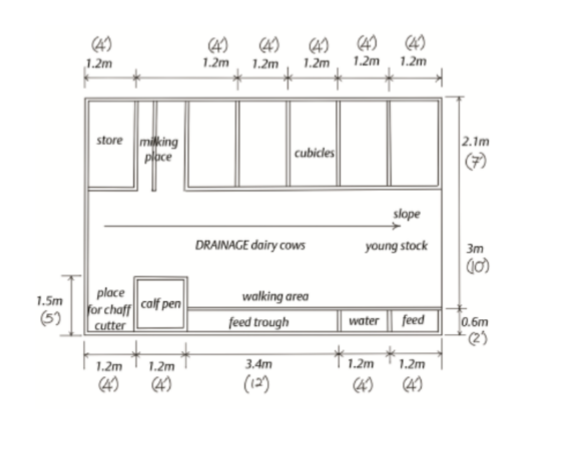 cow shed design for 10 cows - all about cow photos