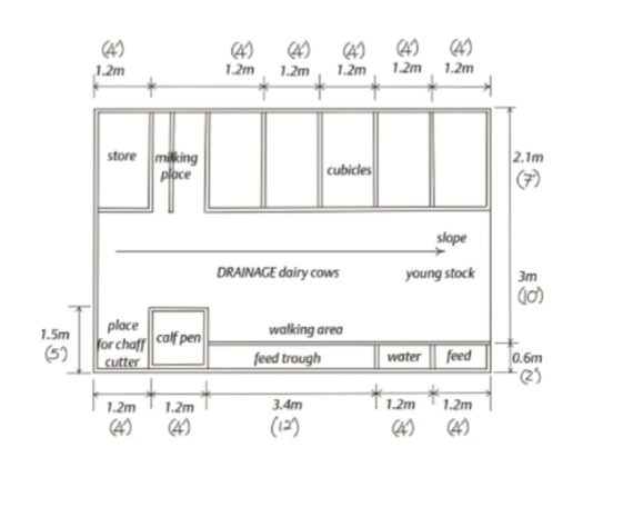 Dairy Farm Construction Design Pdf Shondoan