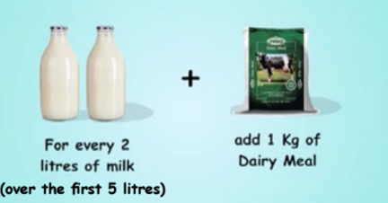 Dairy Meal