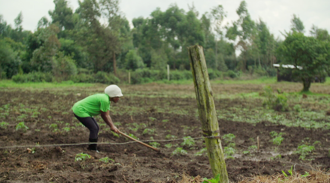 Leah timeline: ep 7 land preparation