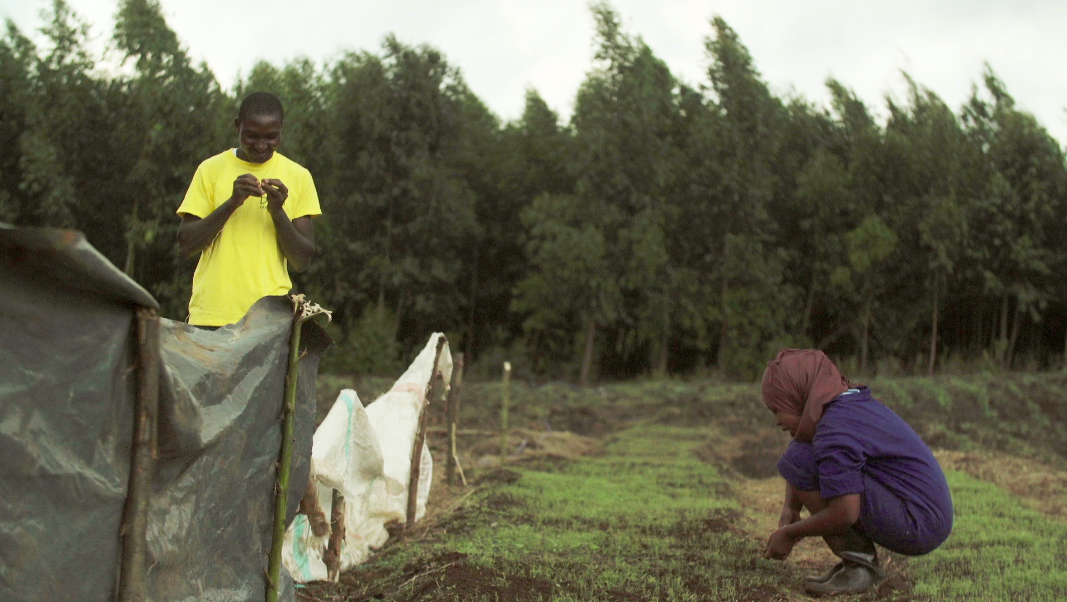 Winrose timeline: ep 9 farmers helping Winrose