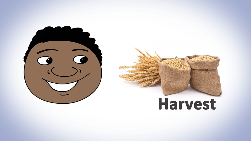 Rain harvest insurance