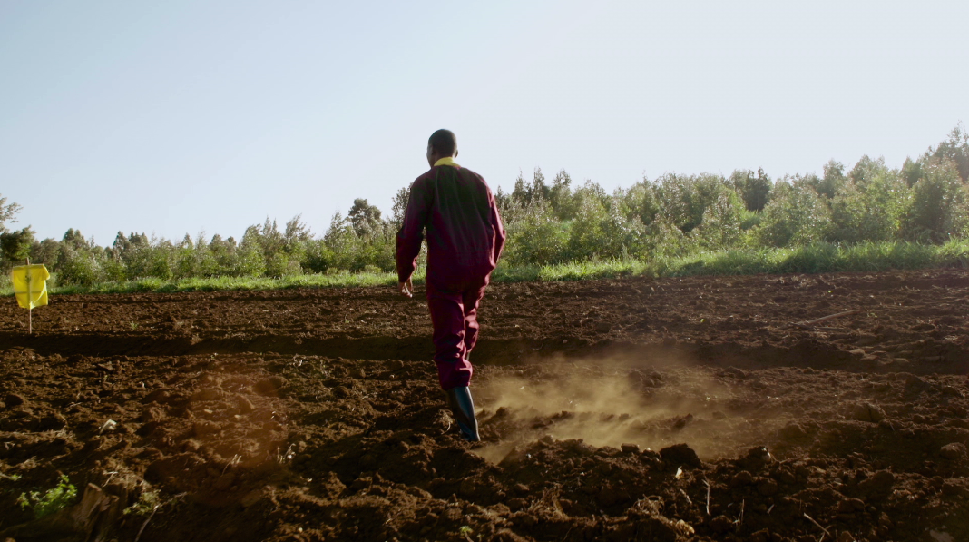 Ken timeline: Checking out his plot of land