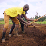 Ploughing land preparation
