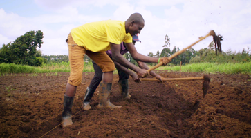 Ploughing land preparation